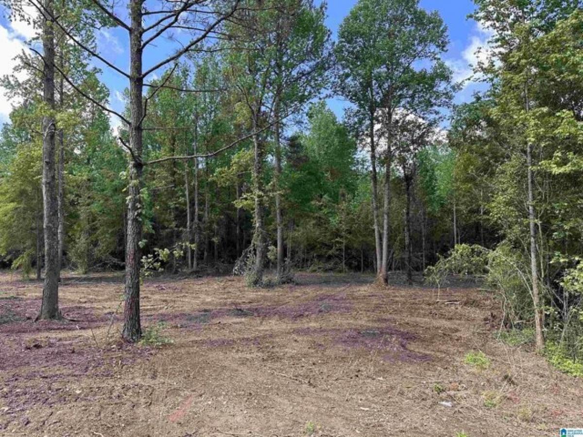 Picture of Residential Land For Sale in Wellington, Alabama, United States