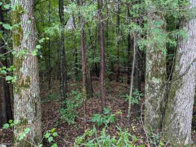 Residential Land For Sale in Gray Court, South Carolina