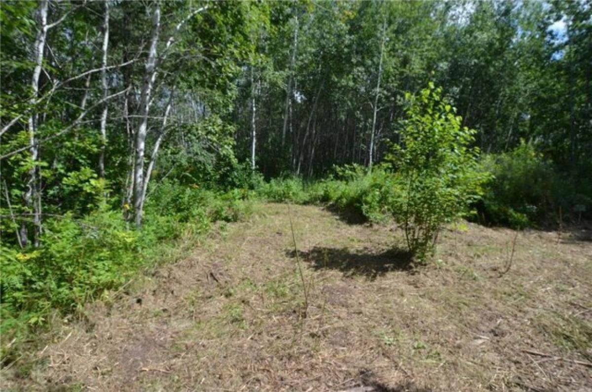 Picture of Residential Land For Sale in Brainerd, Minnesota, United States