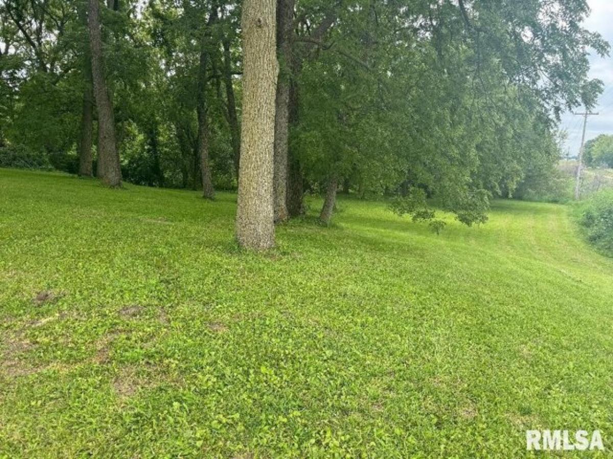 Picture of Residential Land For Sale in Dunlap, Illinois, United States