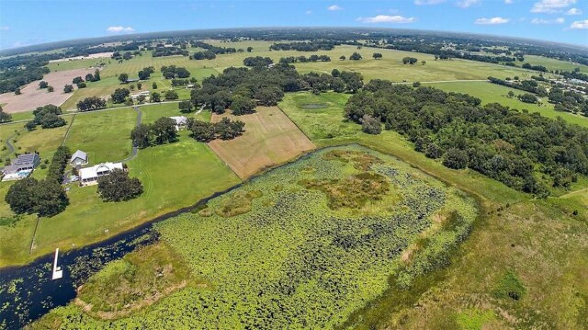 Picture of Residential Land For Sale in Oxford, Florida, United States