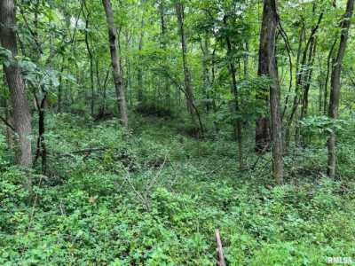 Residential Land For Sale in Mount Sterling, Illinois