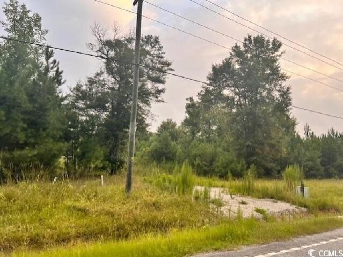 Picture of Residential Land For Sale in Conway, South Carolina, United States