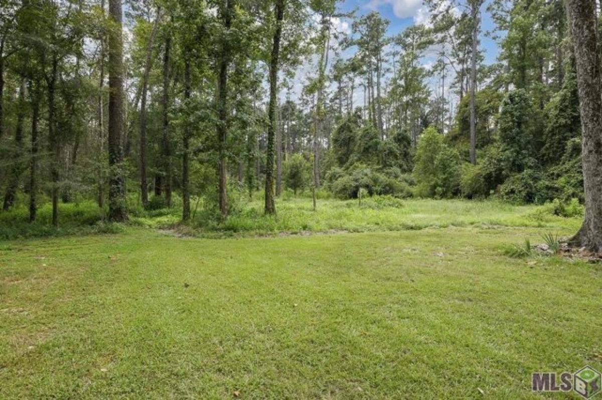 Picture of Residential Land For Sale in Prairieville, Louisiana, United States