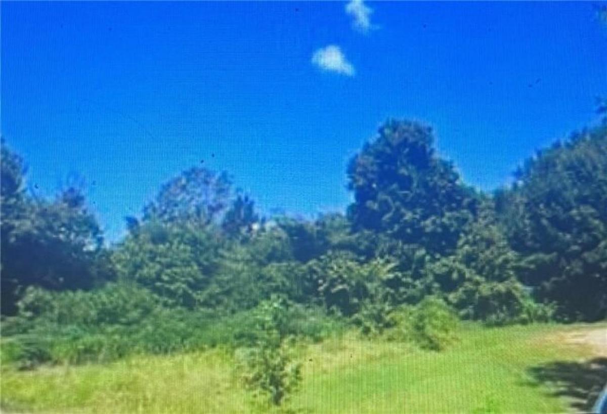 Picture of Residential Land For Sale in Cusseta, Alabama, United States