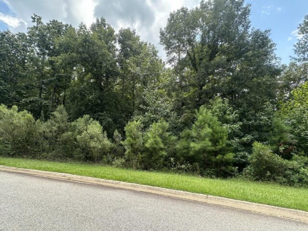 Picture of Residential Land For Sale in North Augusta, South Carolina, United States