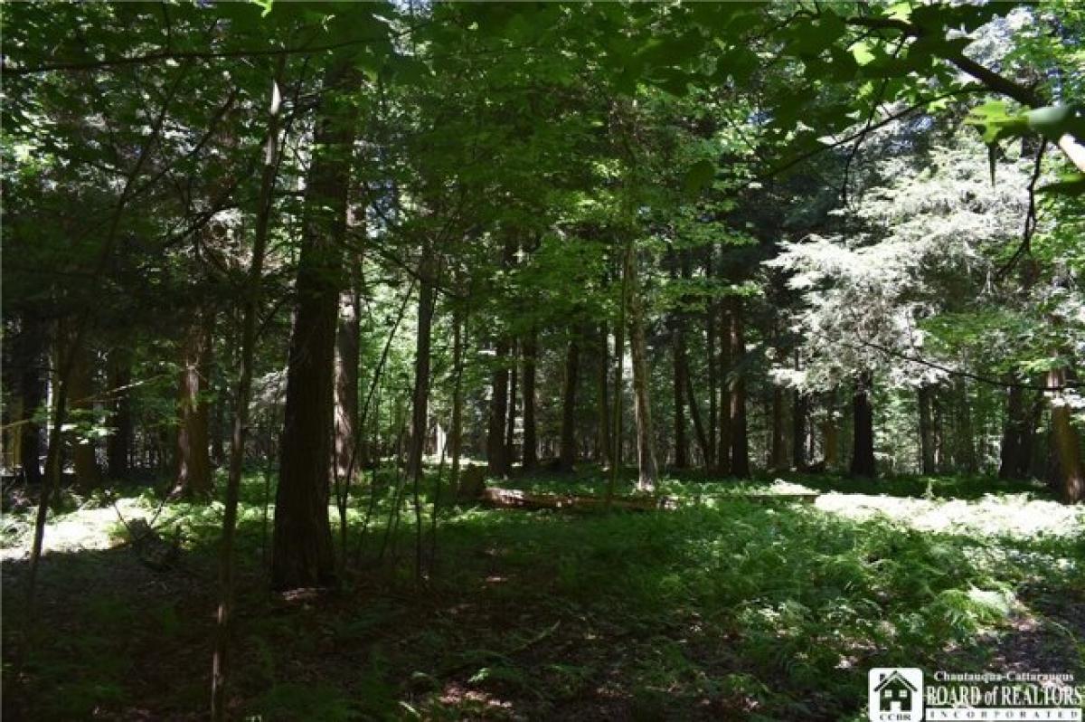 Picture of Residential Land For Sale in Bemus Point, New York, United States