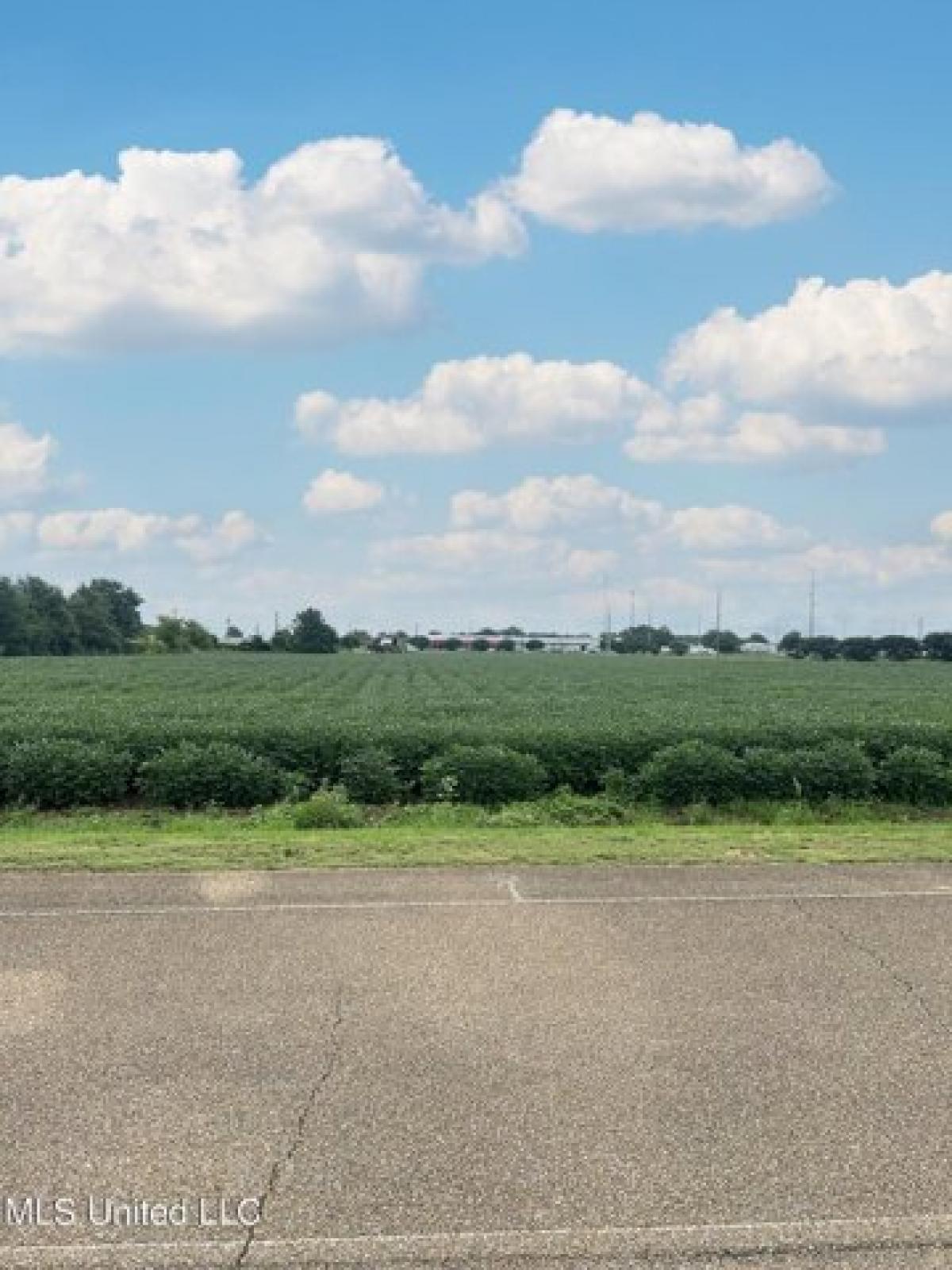 Picture of Residential Land For Sale in Greenwood, Mississippi, United States