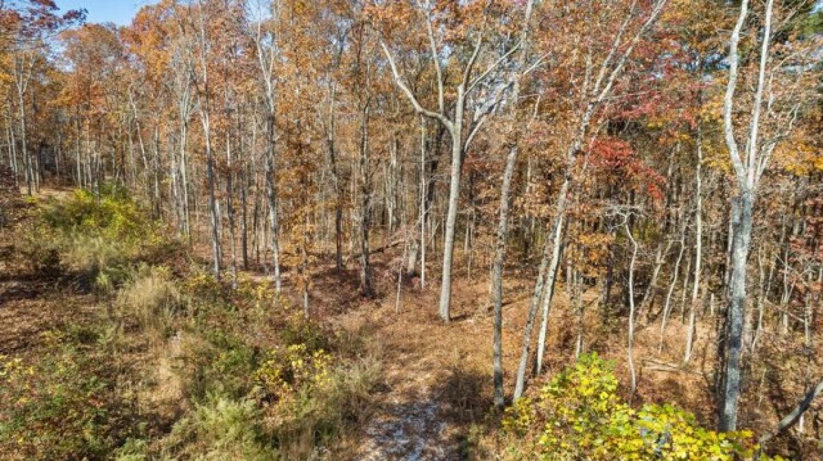 Picture of Residential Land For Sale in Signal Mountain, Tennessee, United States