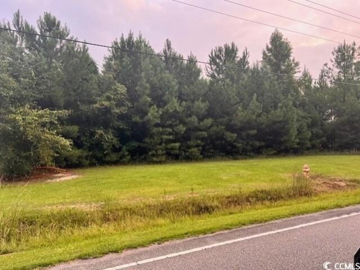 Picture of Residential Land For Sale in Conway, South Carolina, United States