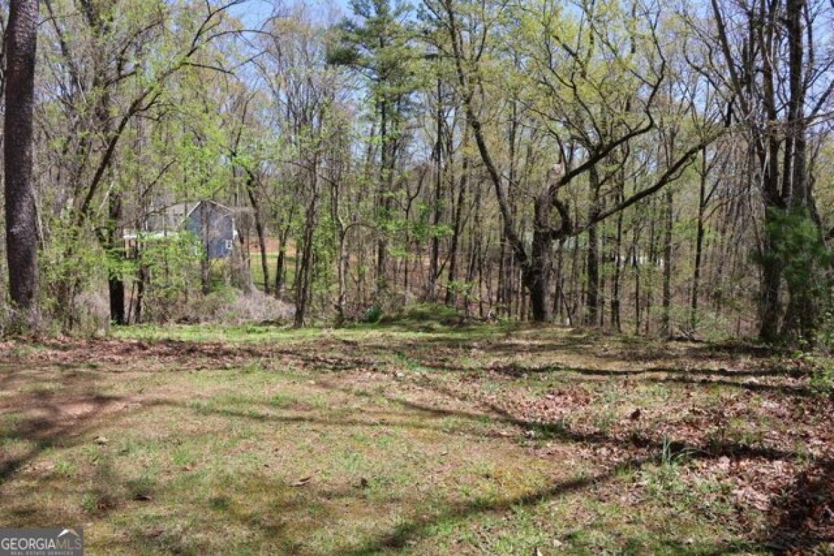 Picture of Residential Land For Sale in Cleveland, Georgia, United States