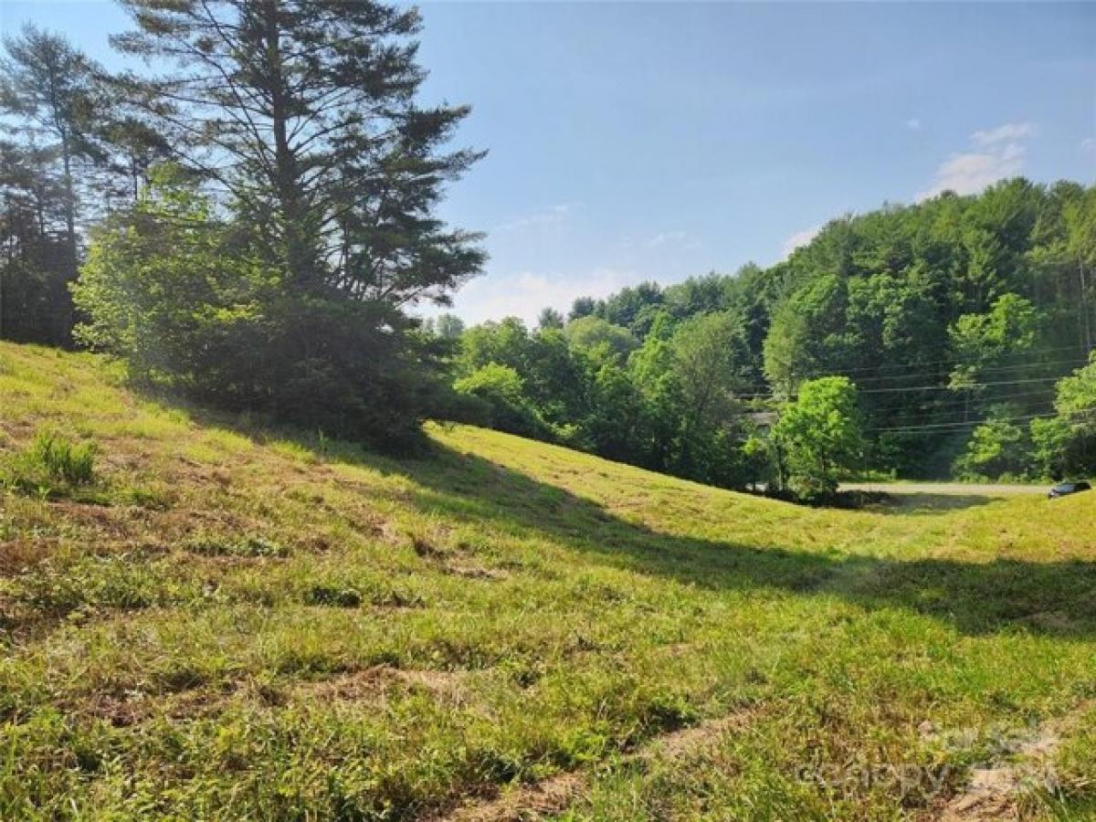 Picture of Residential Land For Sale in Mars Hill, North Carolina, United States