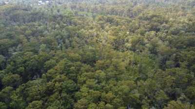 Residential Land For Sale in Maurepas, Louisiana