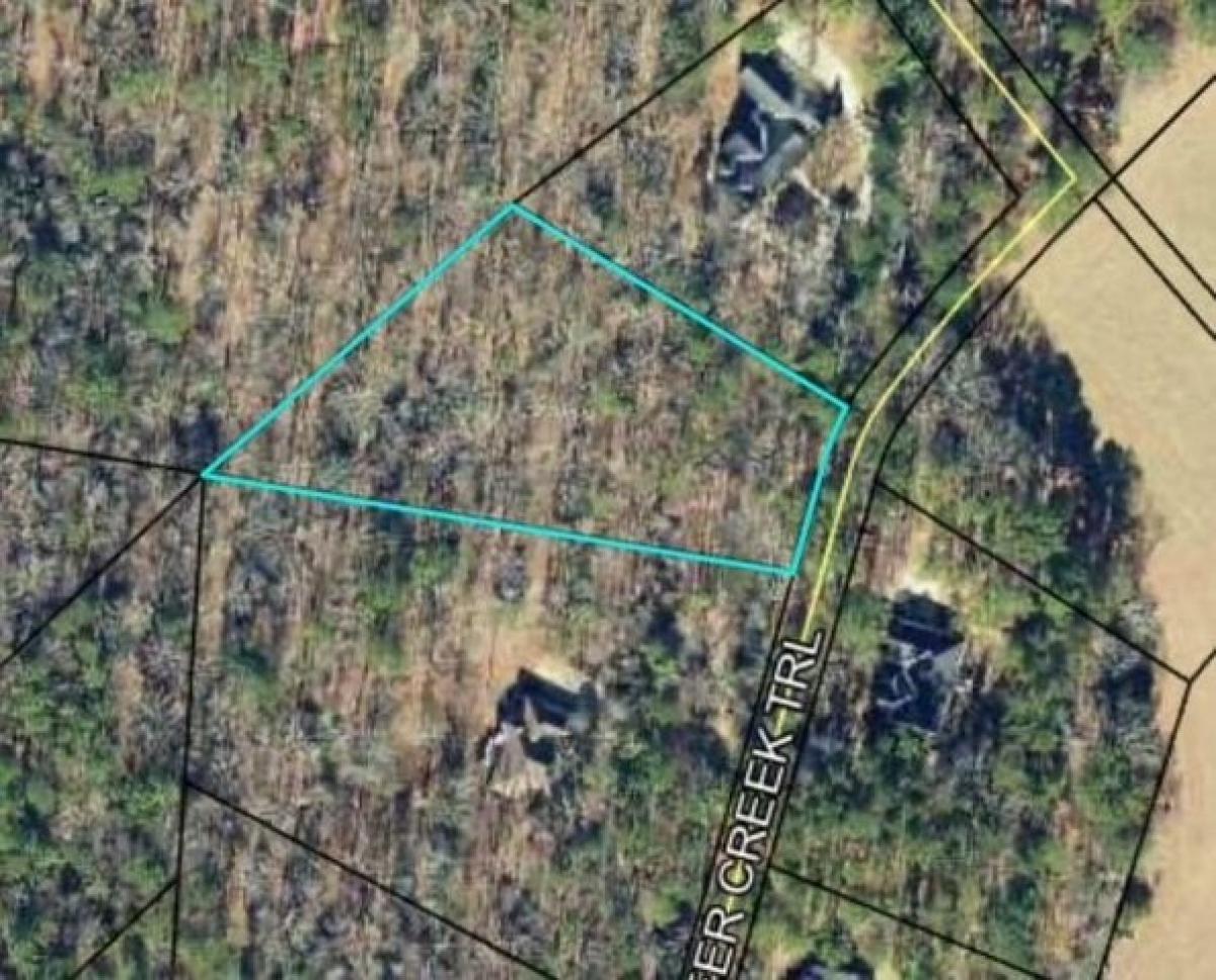 Picture of Residential Land For Sale in Dublin, Georgia, United States