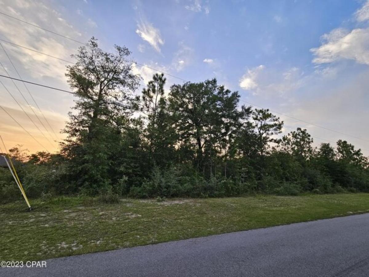 Picture of Residential Land For Sale in Chipley, Florida, United States