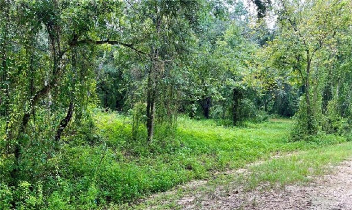 Picture of Residential Land For Sale in Dade City, Florida, United States