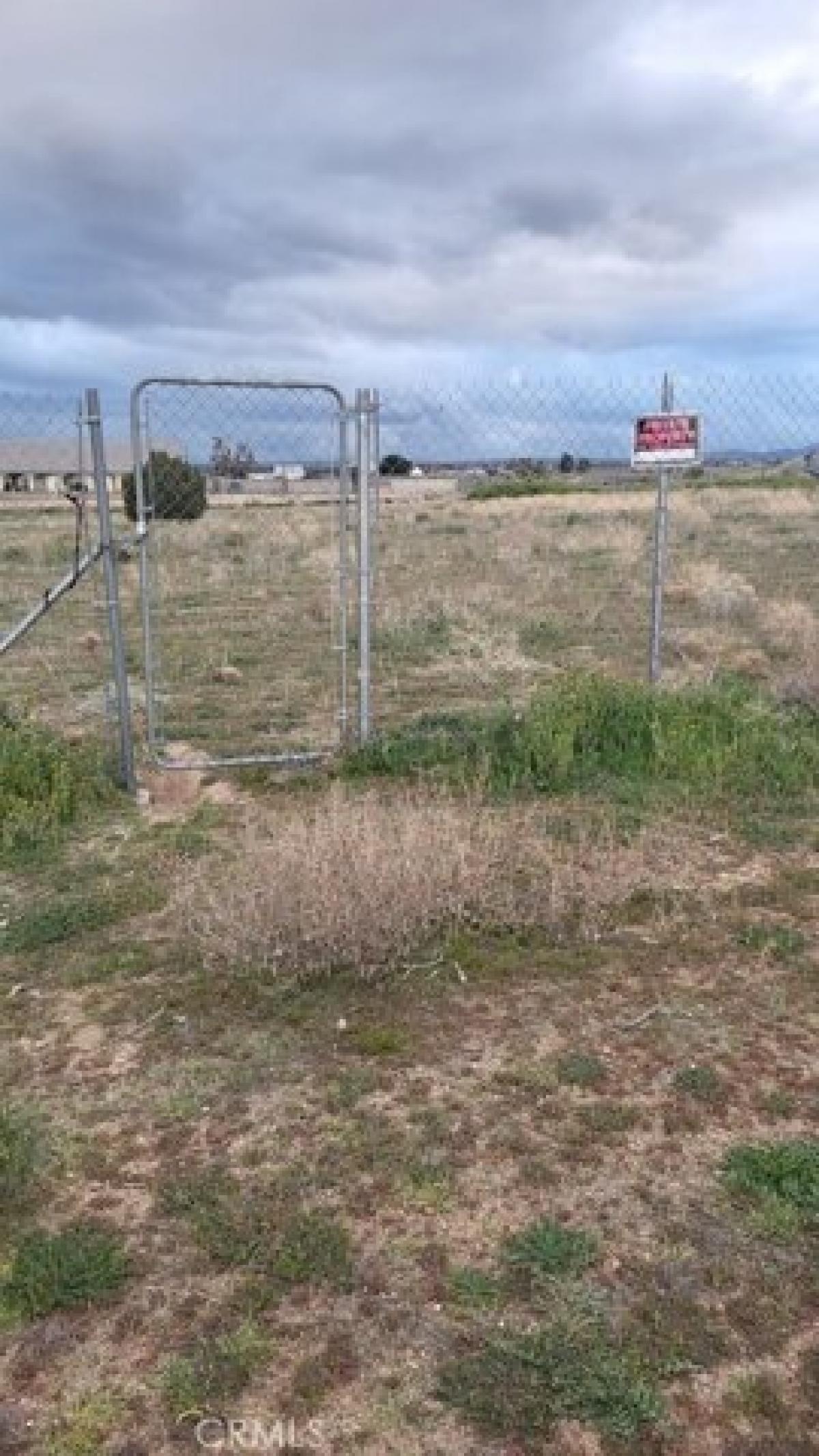 Picture of Residential Land For Sale in Phelan, California, United States