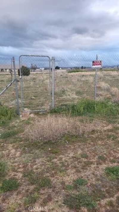 Residential Land For Sale in Phelan, California