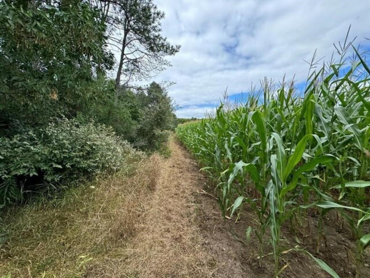 Picture of Residential Land For Sale in Fish Creek, Wisconsin, United States