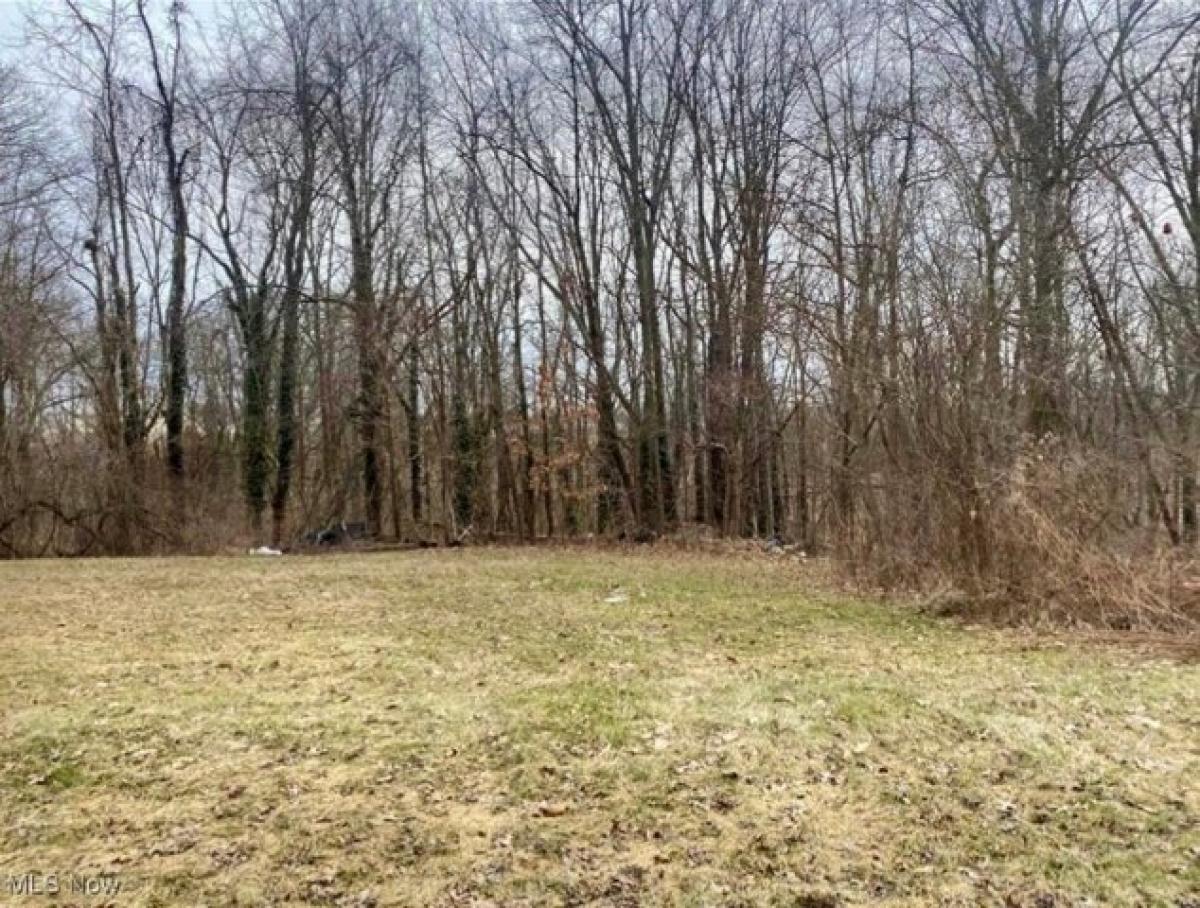 Picture of Residential Land For Rent in Niles, Ohio, United States