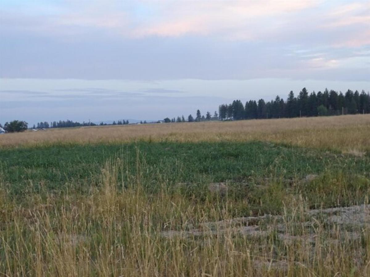 Picture of Residential Land For Sale in Chattaroy, Washington, United States