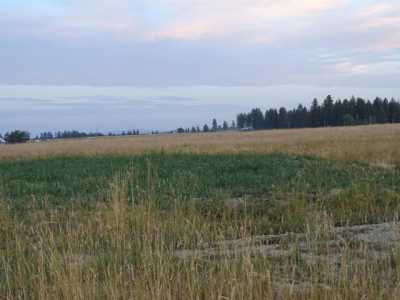 Residential Land For Sale in Chattaroy, Washington