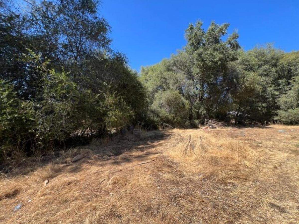 Picture of Residential Land For Sale in Sutter Creek, California, United States