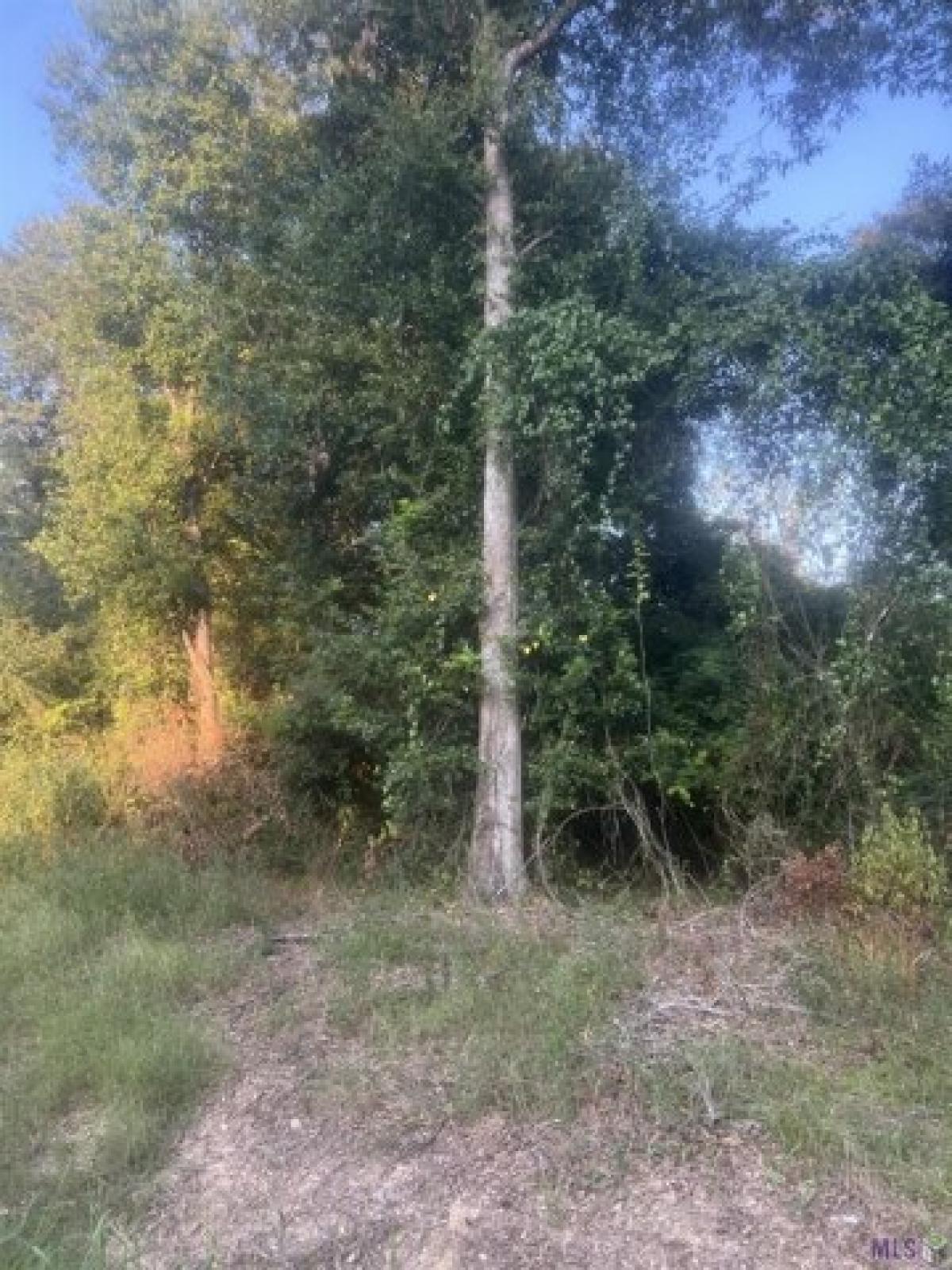 Picture of Residential Land For Sale in Pride, Louisiana, United States