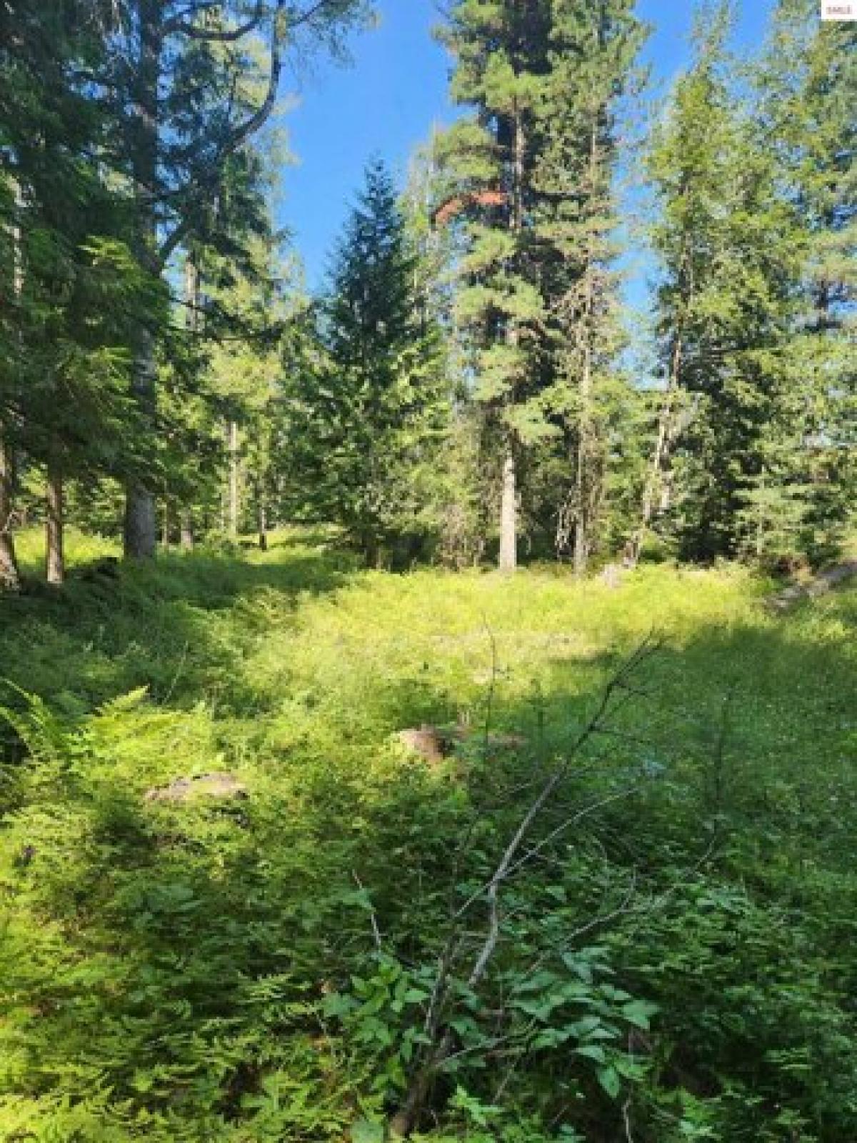 Picture of Residential Land For Sale in Sandpoint, Idaho, United States