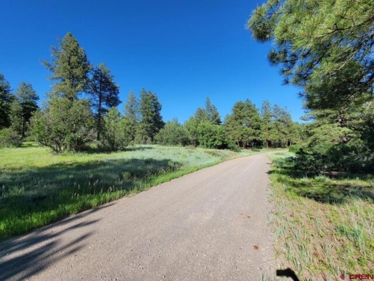 Picture of Residential Land For Sale in Pagosa Springs, Colorado, United States