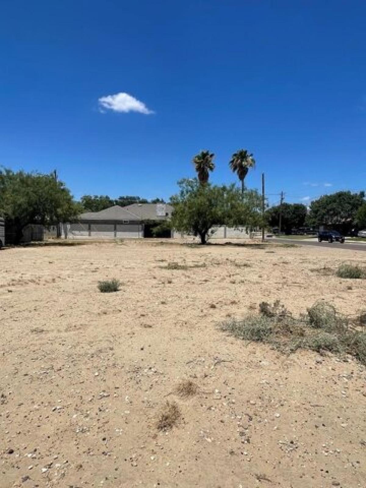 Picture of Residential Land For Sale in Eagle Pass, Texas, United States