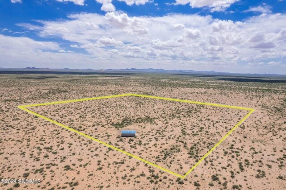 Picture of Home For Sale in Deming, New Mexico, United States