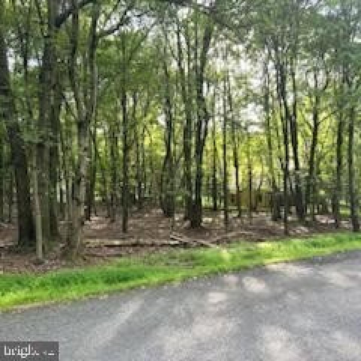 Picture of Residential Land For Sale in Albrightsville, Pennsylvania, United States