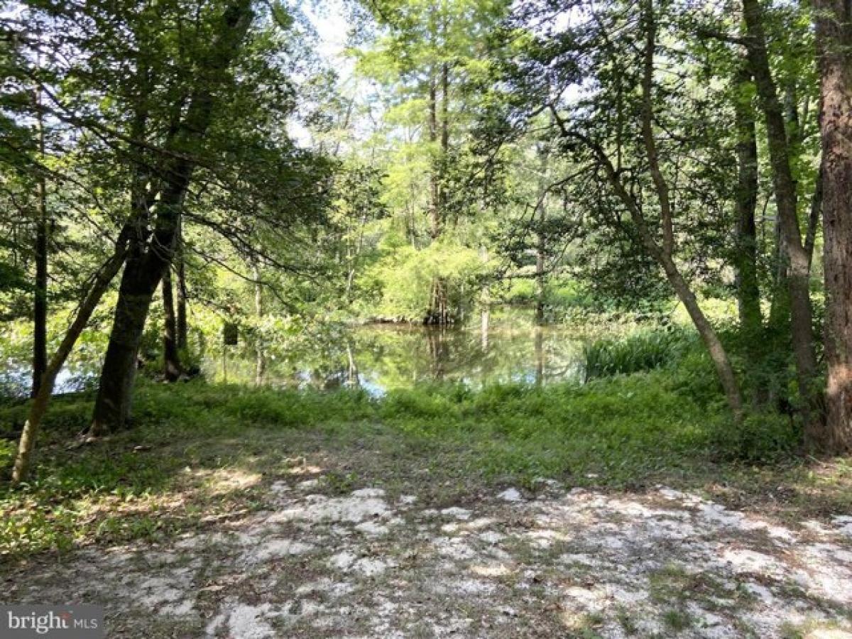 Picture of Home For Sale in Seaford, Delaware, United States