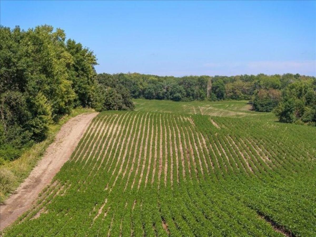 Picture of Home For Sale in Pelican Rapids, Minnesota, United States