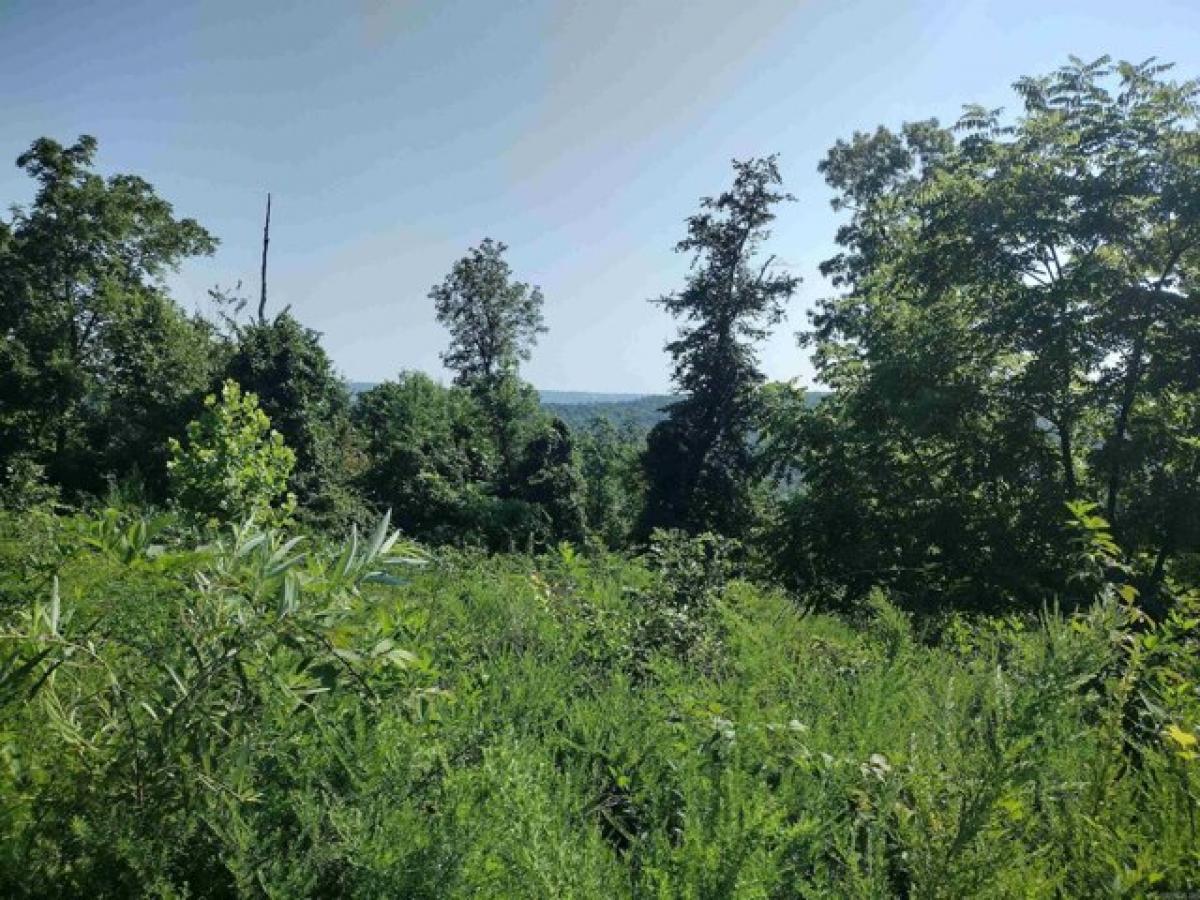 Picture of Residential Land For Sale in Mountain View, Arkansas, United States