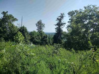 Residential Land For Sale in Mountain View, Arkansas