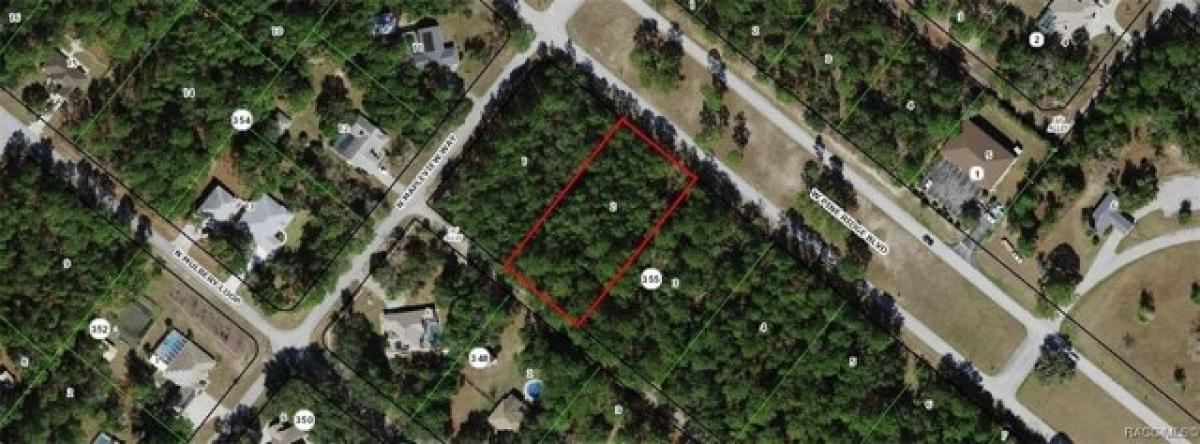 Picture of Residential Land For Sale in Beverly Hills, Florida, United States