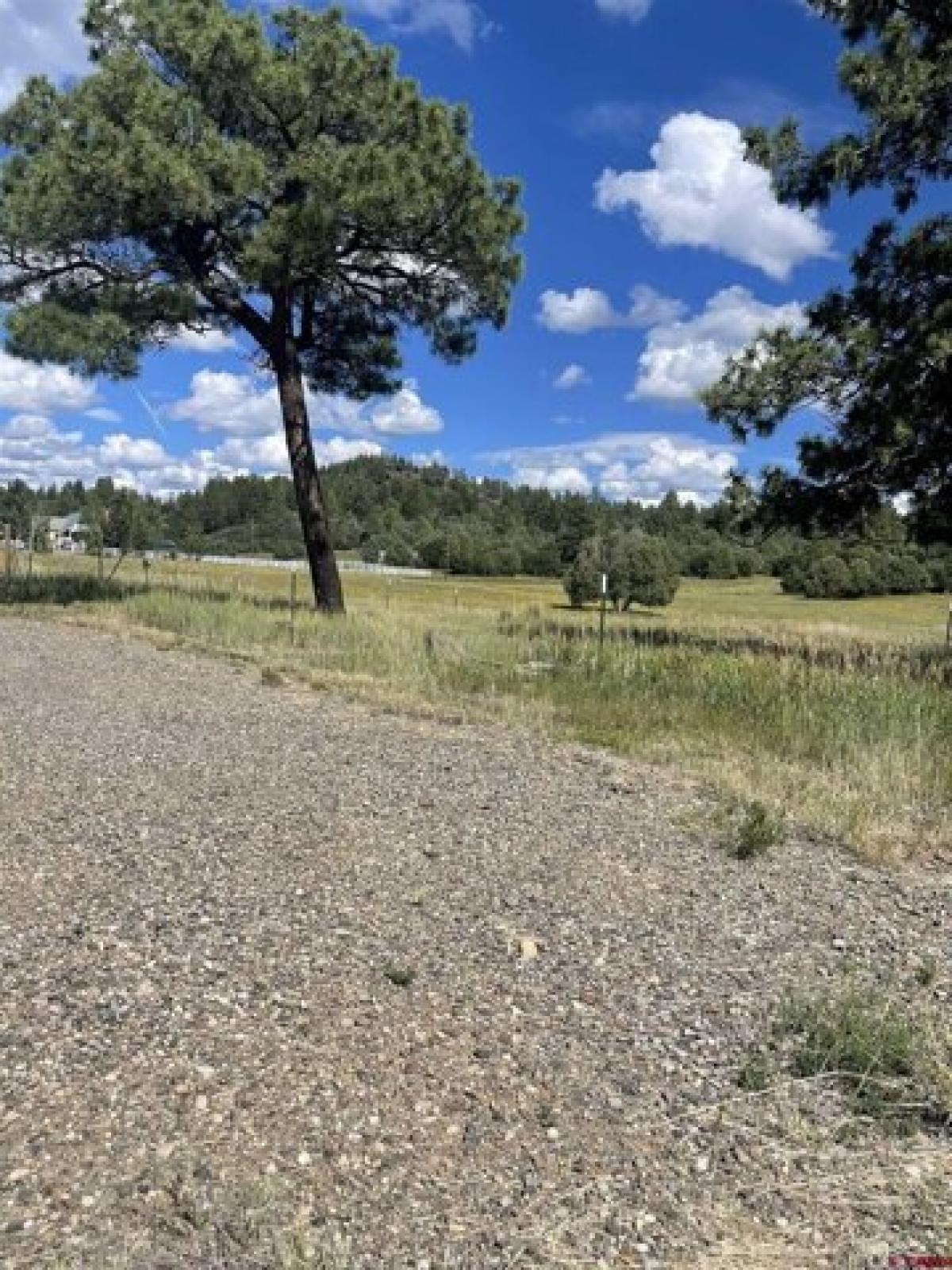 Picture of Home For Sale in Pagosa Springs, Colorado, United States