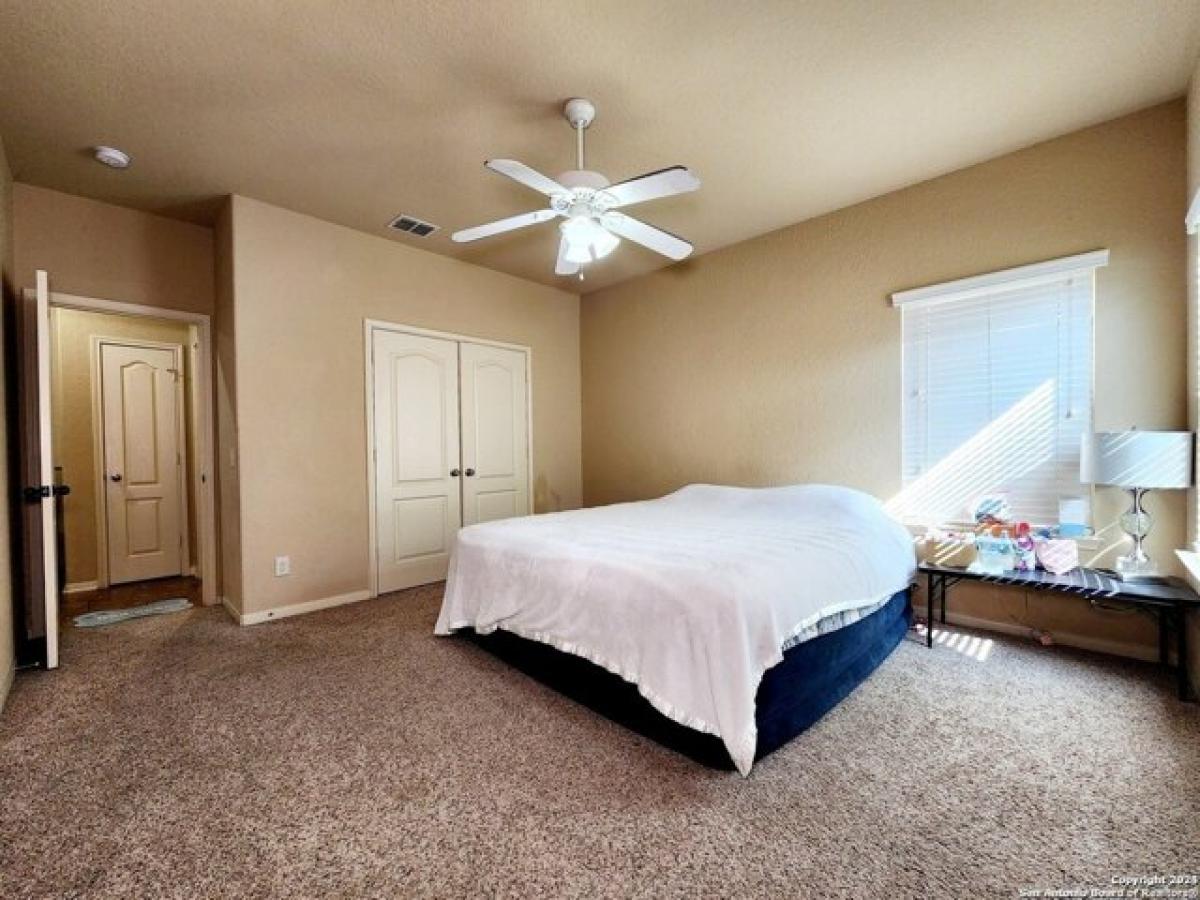 Picture of Home For Rent in Schertz, Texas, United States