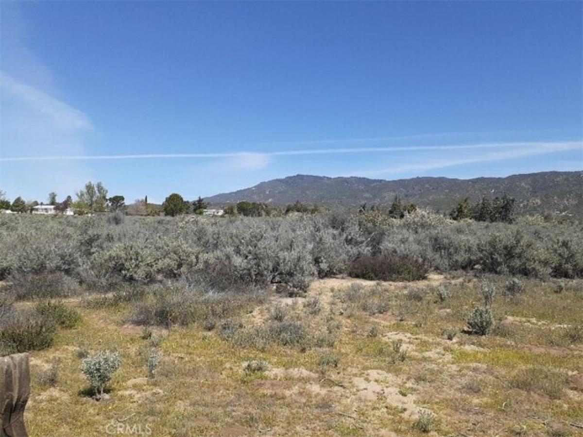 Picture of Residential Land For Sale in Anza, California, United States