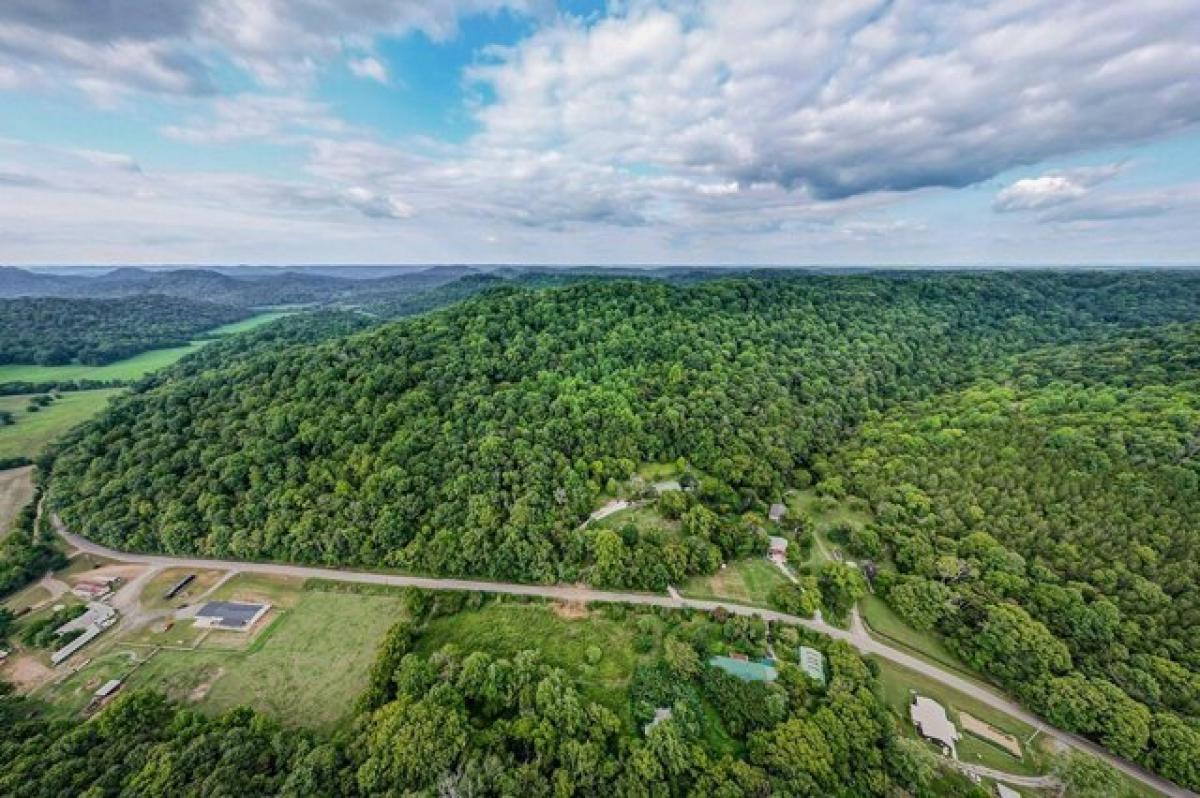 Picture of Residential Land For Sale in Buffalo Valley, Tennessee, United States