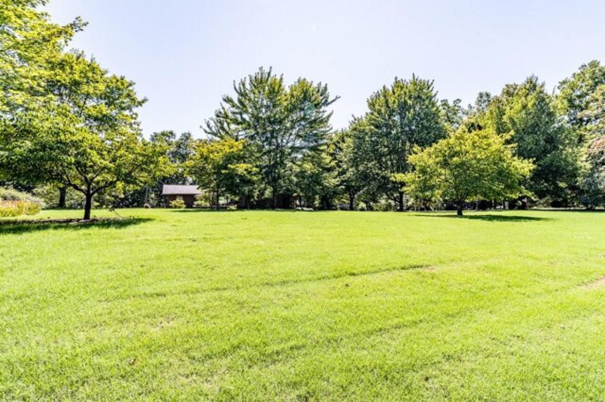 Picture of Home For Sale in Cohutta, Georgia, United States