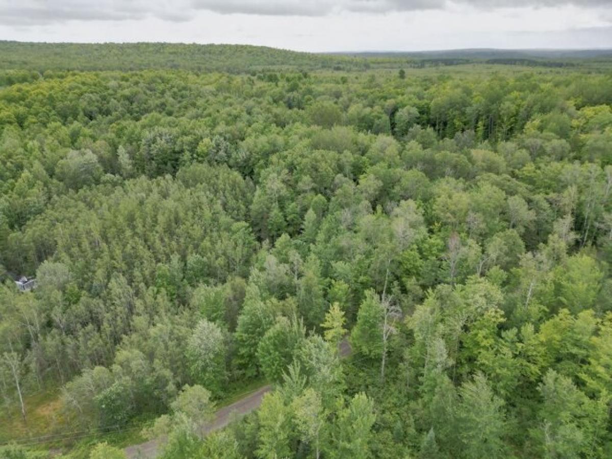 Picture of Residential Land For Sale in Florence, Wisconsin, United States