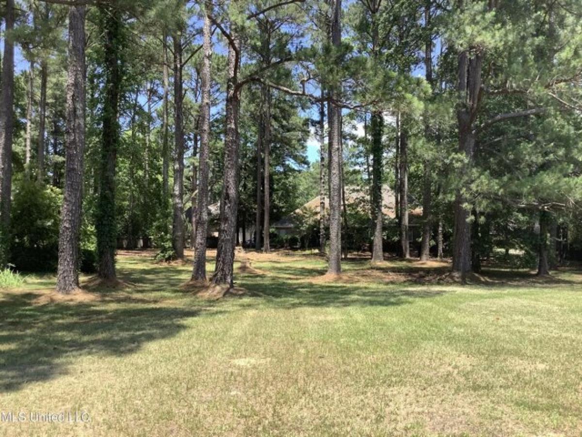 Picture of Residential Land For Sale in Brandon, Mississippi, United States