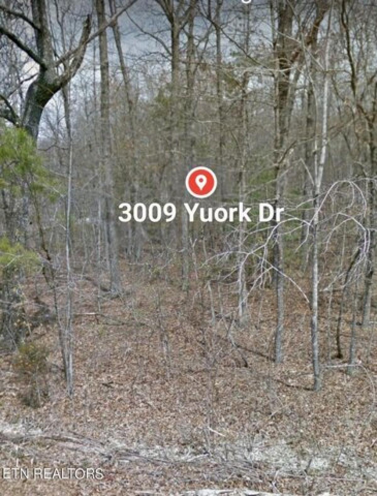 Picture of Residential Land For Rent in Crossville, Tennessee, United States