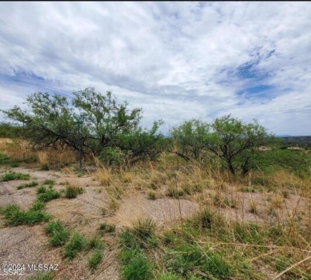 Picture of Residential Land For Sale in Rio Rico, Arizona, United States