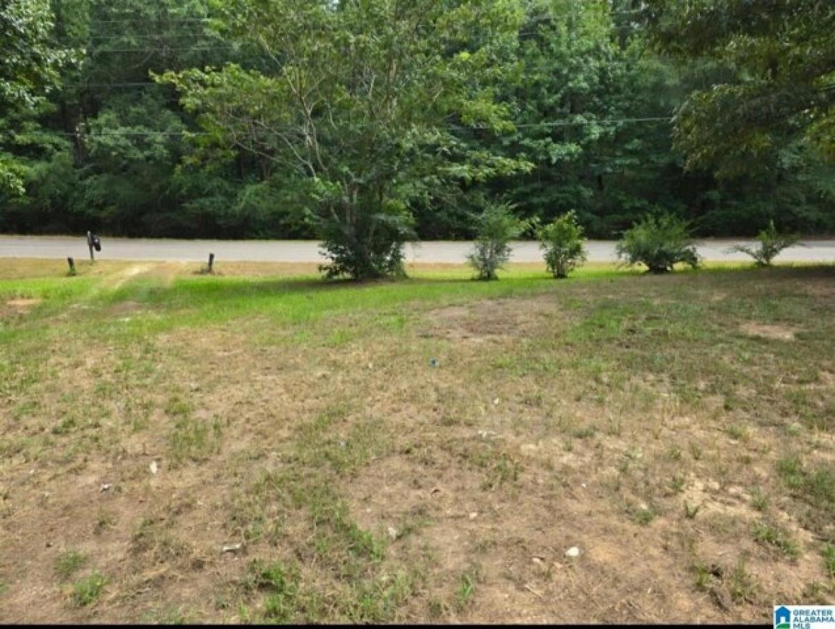 Picture of Residential Land For Sale in Pell City, Alabama, United States