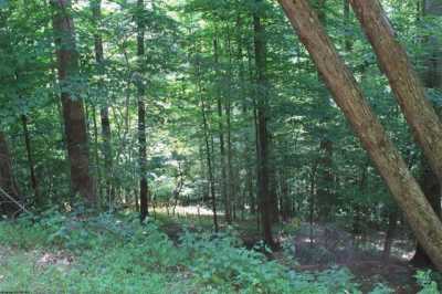 Residential Land For Sale in Hacker Valley, West Virginia