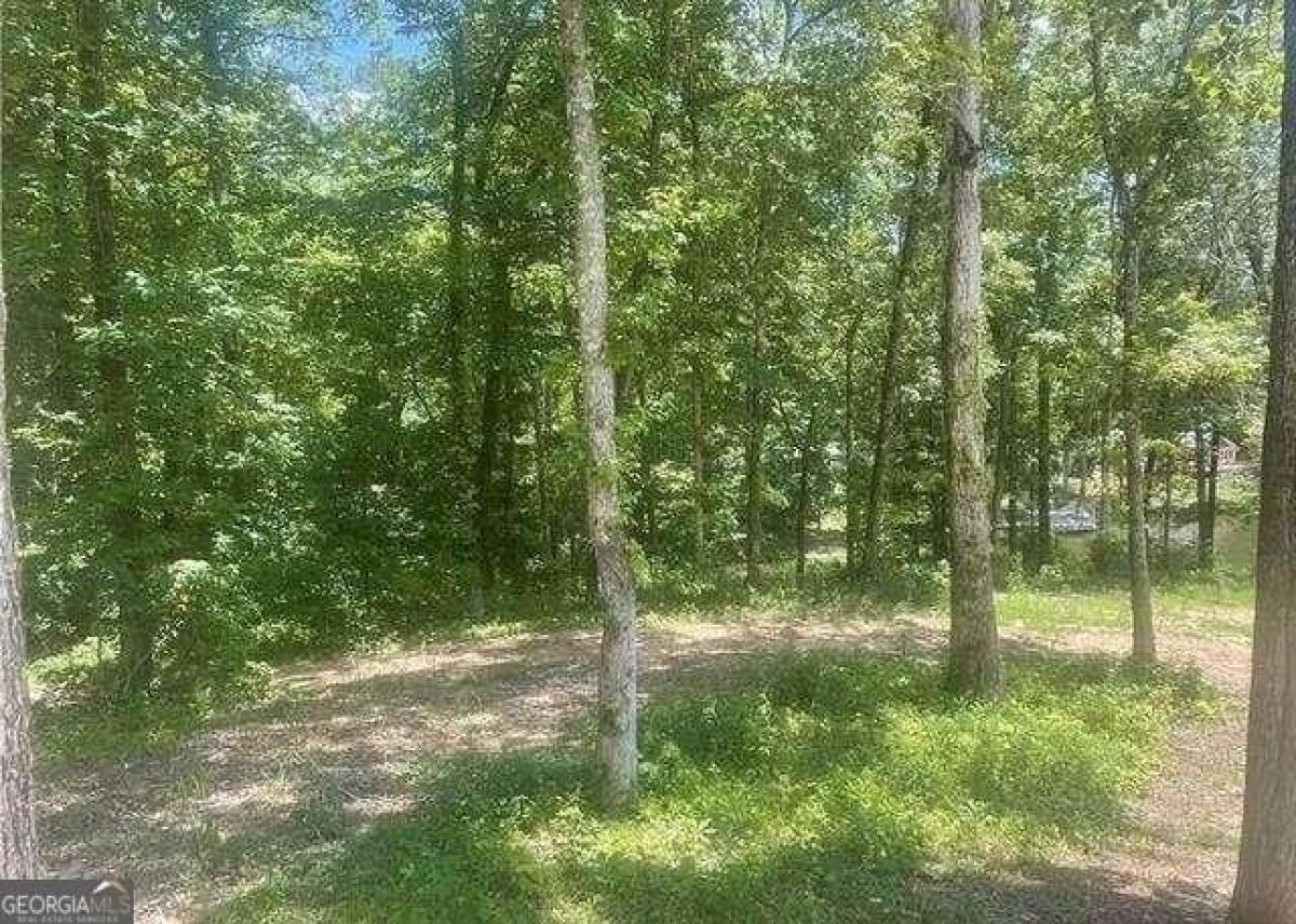 Picture of Residential Land For Sale in Valley, Alabama, United States